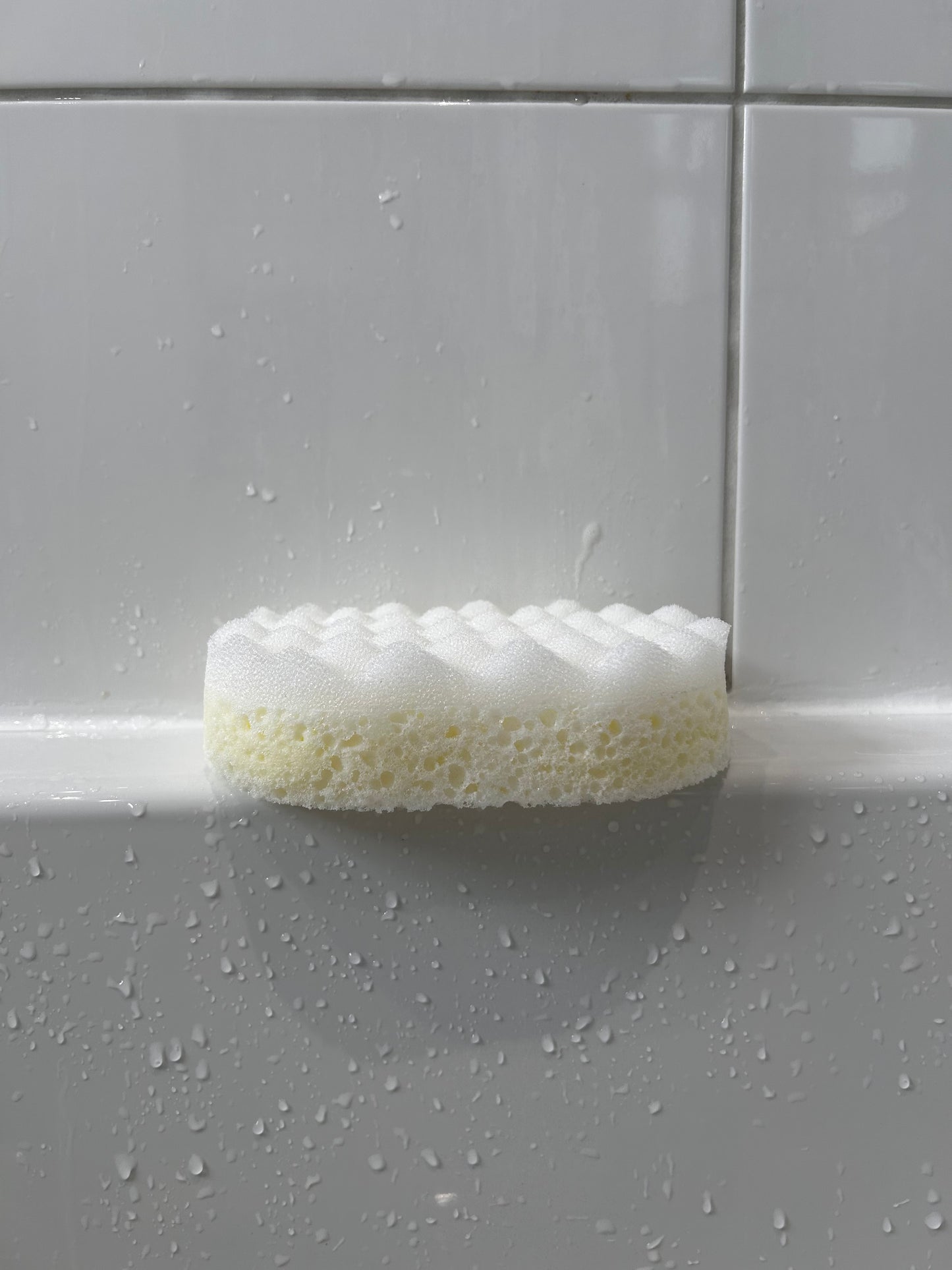 F1006 - FF FRAGRANCES - Soap Sponge