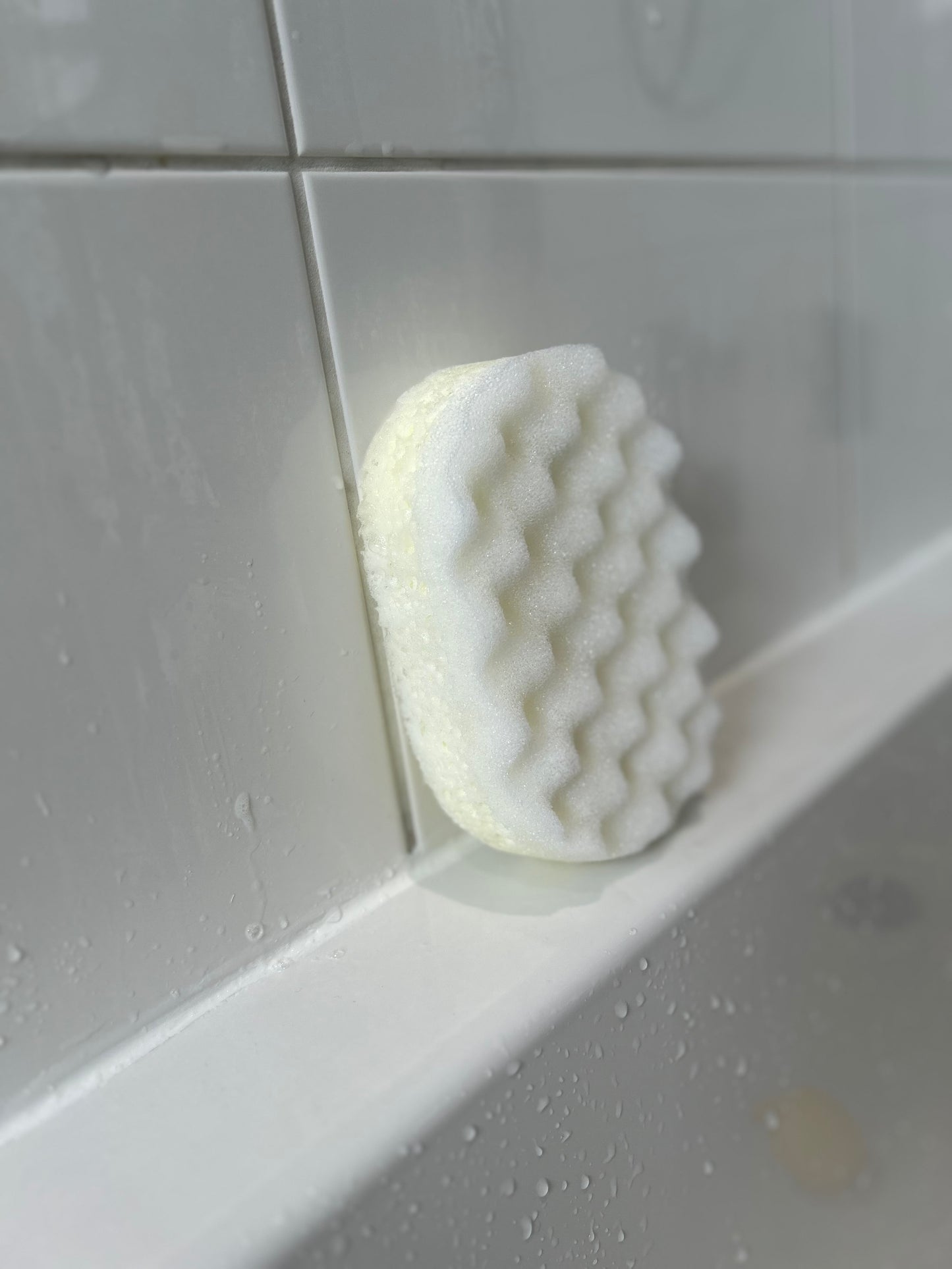 F1006 - FF FRAGRANCES - Soap Sponge