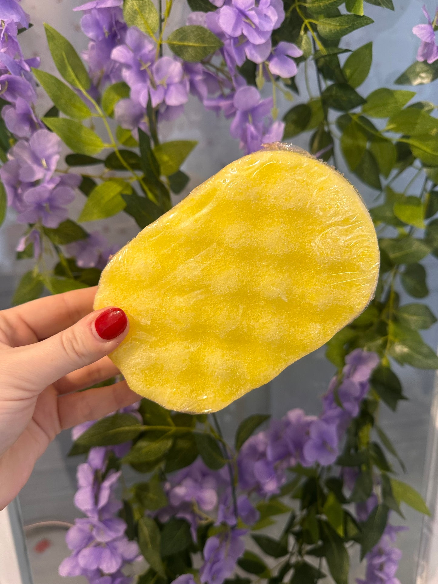 F1006 - FF FRAGRANCES - Soap Sponge