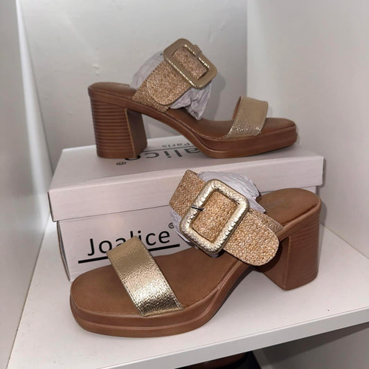 S1011 - Chunky Thick Strap Heel