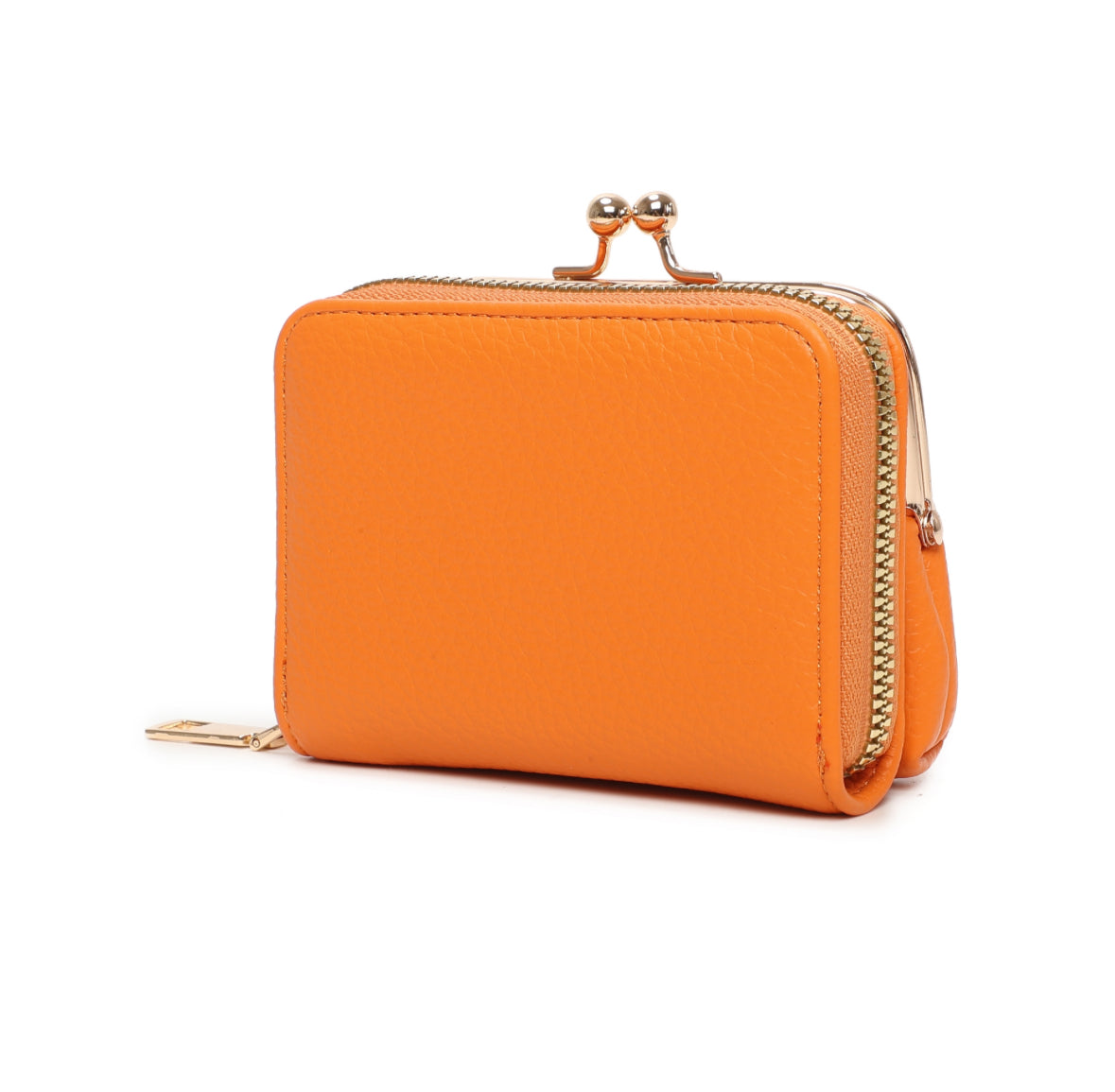 A127 - Multi Compartment Purse