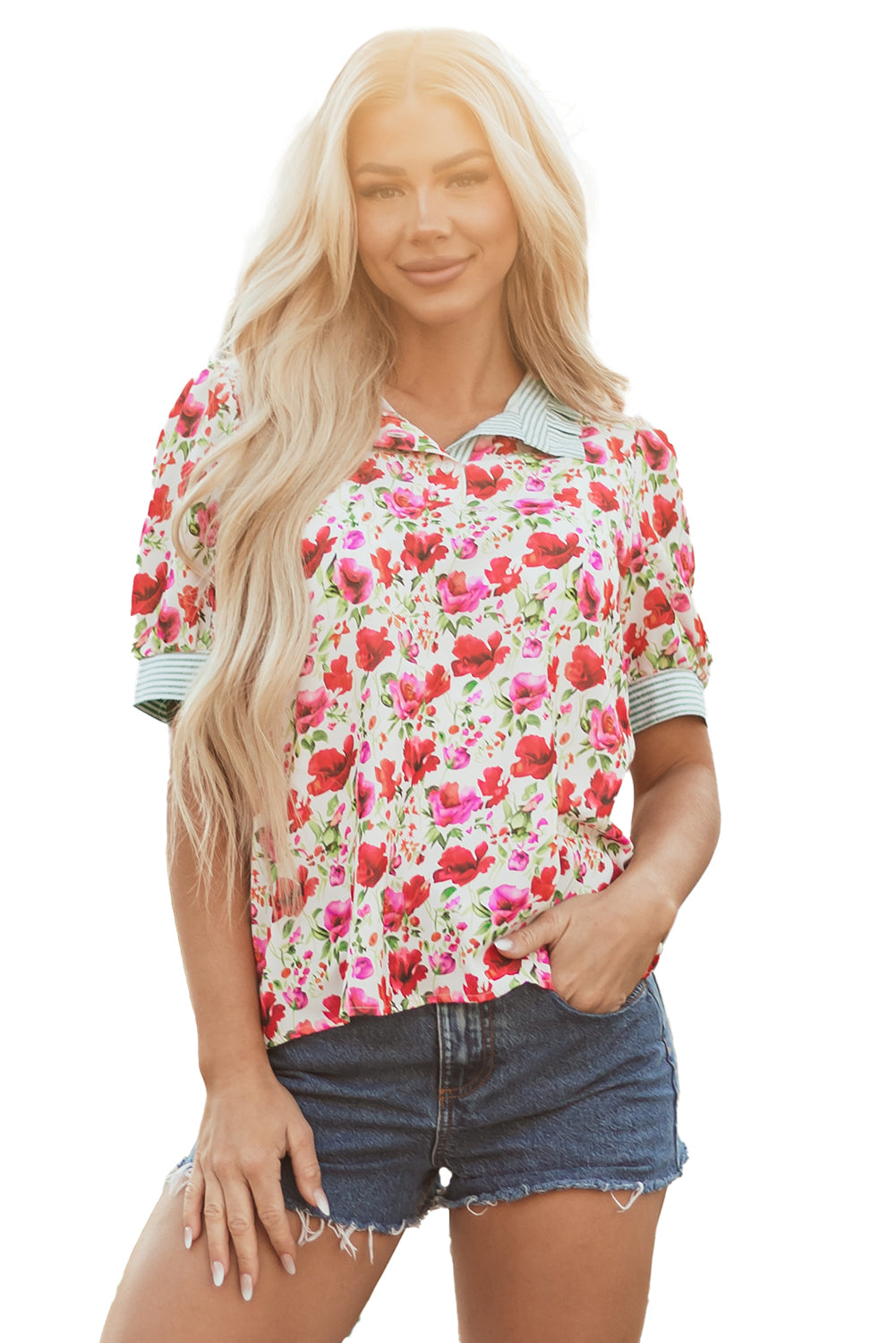 Sky Blue Floral Print Striped Patchwork Collared Short Sleeve Blouse