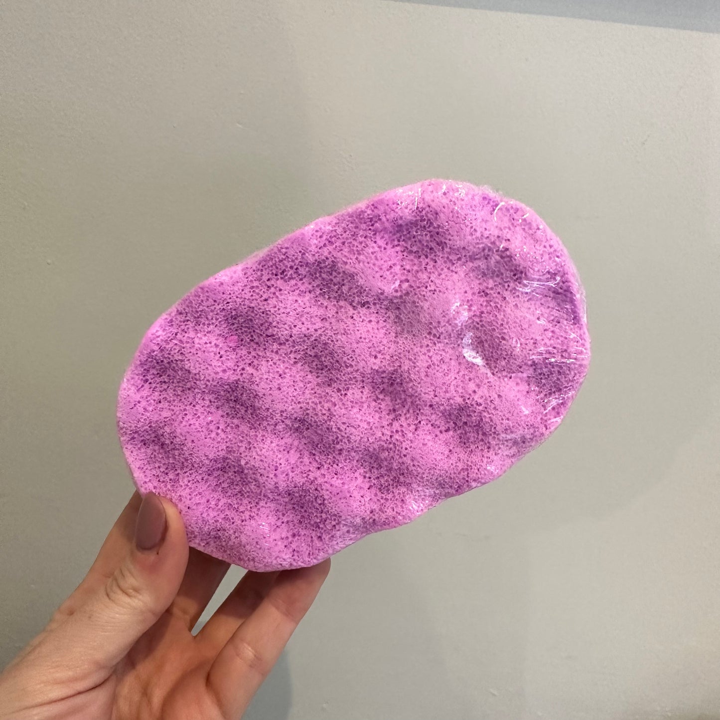 Exfoliating Sponge