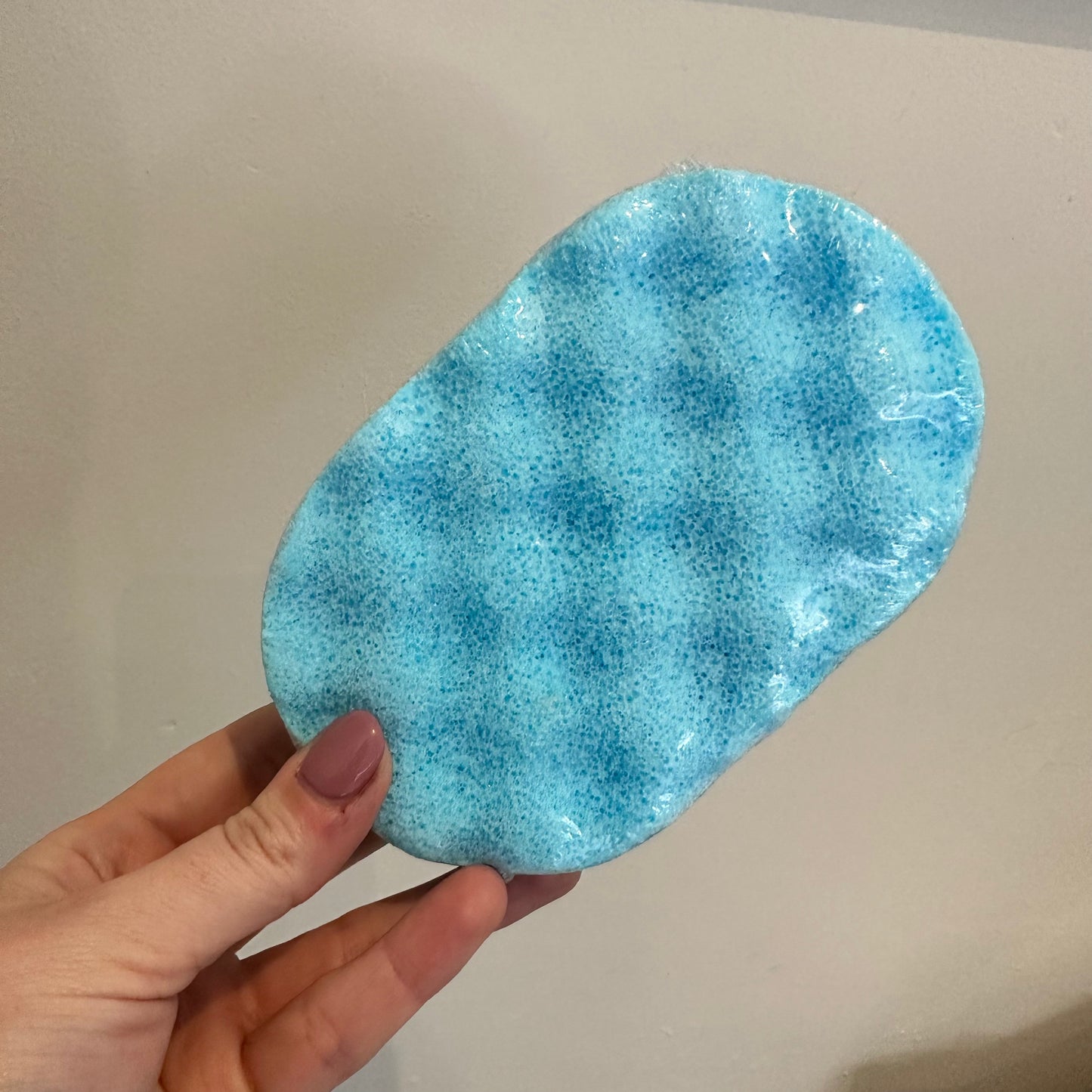 Exfoliating Sponge