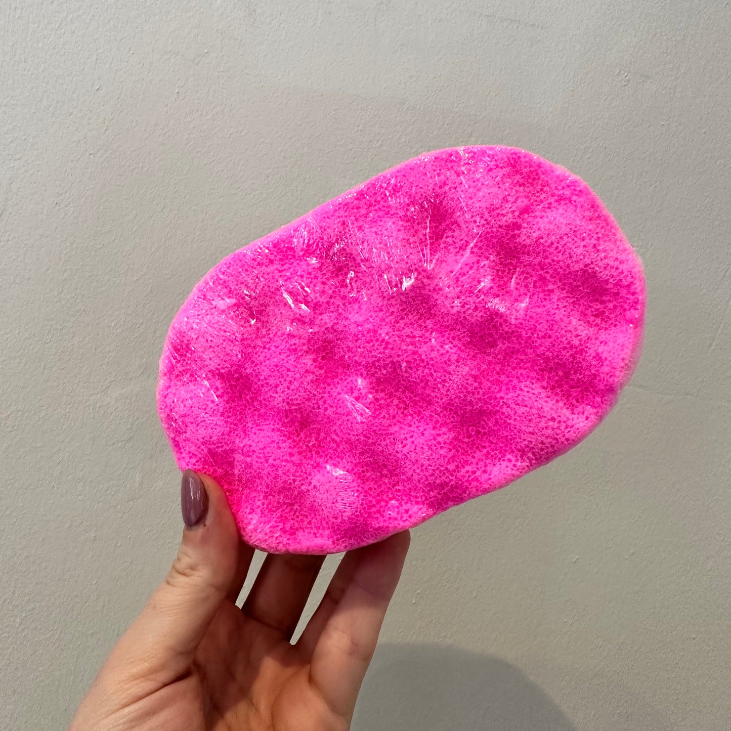 Exfoliating Sponge