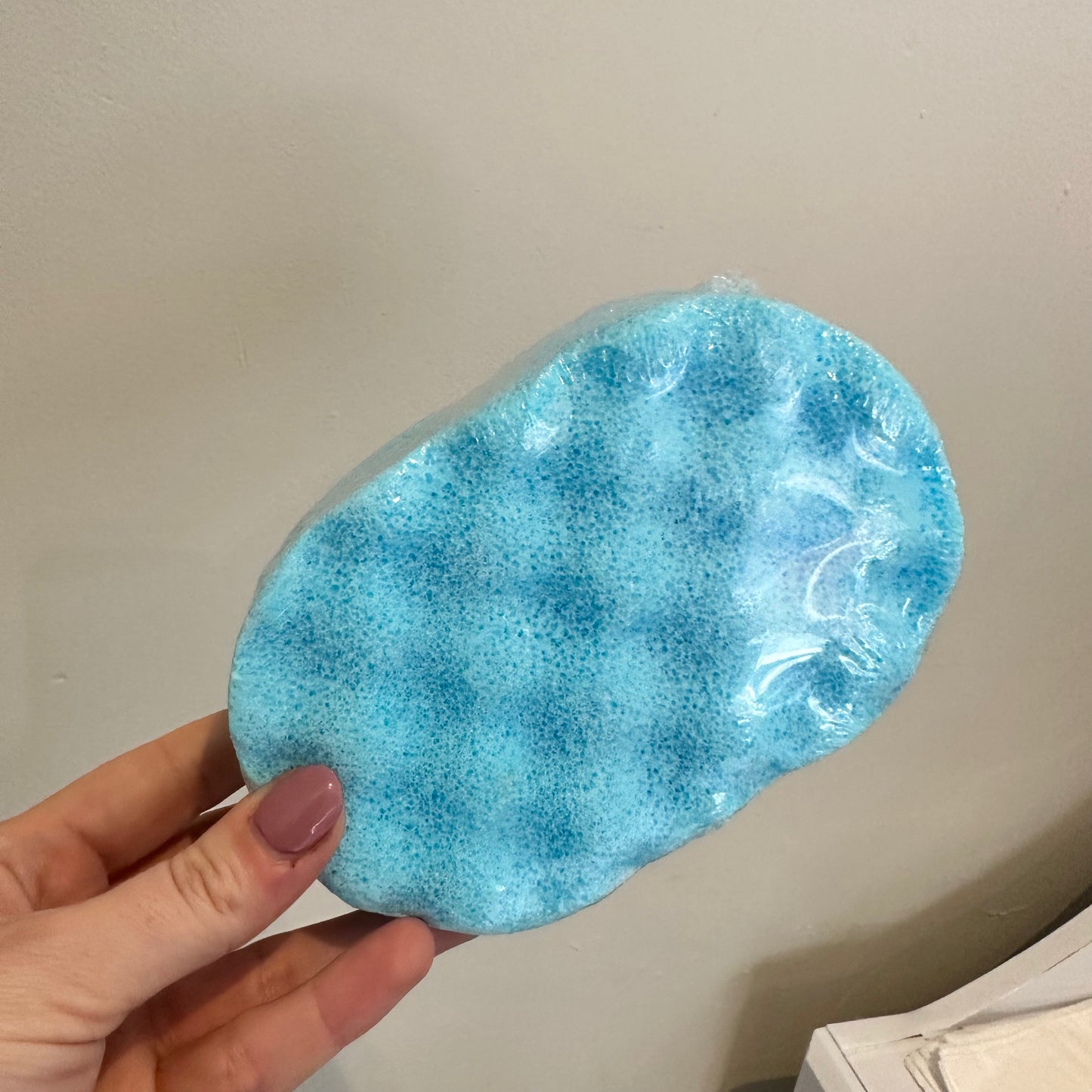 Exfoliating Sponge